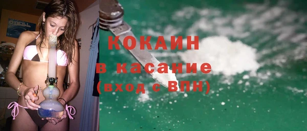 молекула духа Богородицк