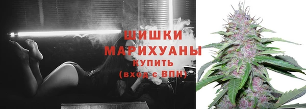 Альфа ПВП Богородск