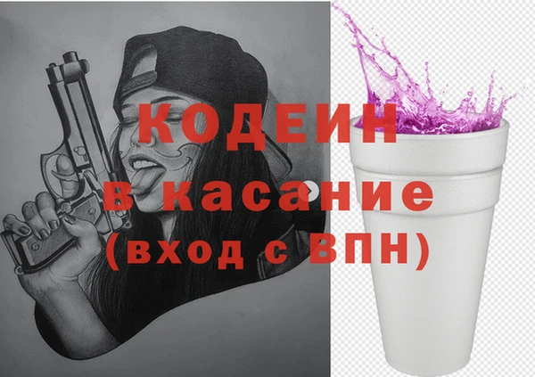 молекула духа Богородицк