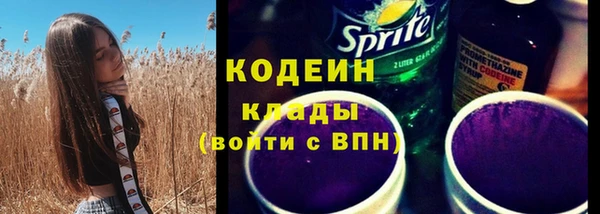 молекула духа Богородицк