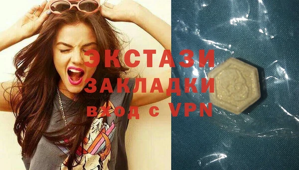 молекула духа Богородицк