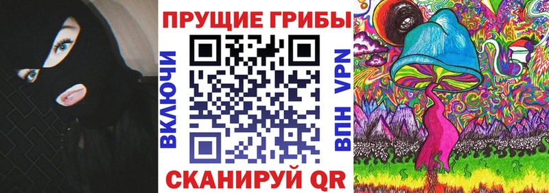 где купить наркоту  Плёс  Псилоцибиновые грибы Psilocybe 